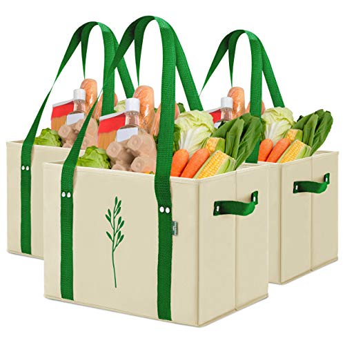 Green Bulldog Reusable Grocery Bags