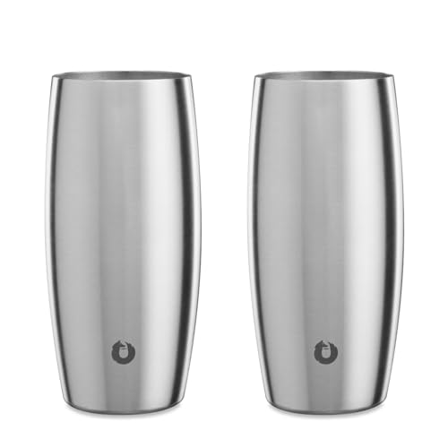 SNOWFOX Vacuum Insulated Double Wall Beer Glass (Set of 2)
