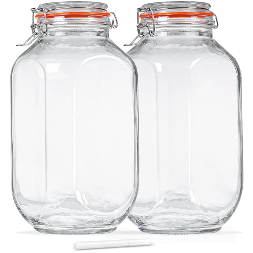 1 Gallon Square Glass Storage Jars with Airtight Lids (2 Pack)