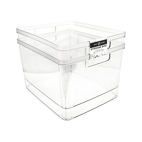 Isaac Jacobs 2-Pack Extra-Large Clear Storage Bins