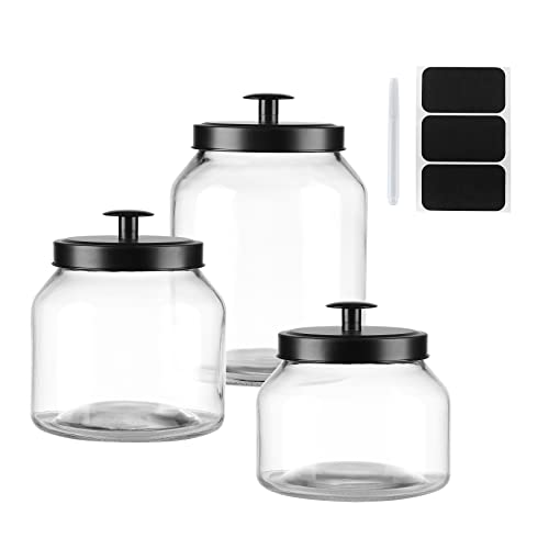 Hyperspace Clear Glass Kitchen Canister Set (Black)