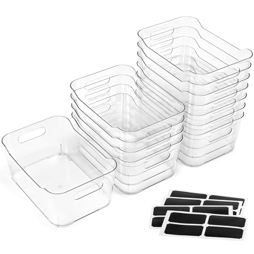 LANDNEOO 12-Pack Clear Organizer Bins (9.6x6.6x4.1)
