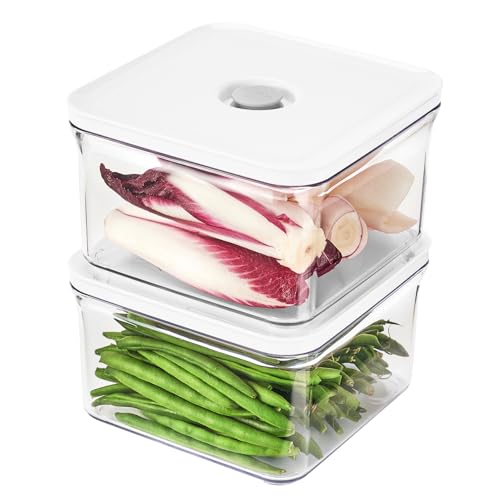 Premium Airtight Food Storage Containers (2PC)