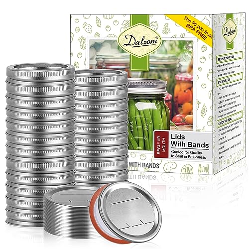Dalzom 144Pcs Canning Lids with Rings Regular Mouth, Premium Mason Jar Lids with Rings for Ball, Kerr Jars - Food Grade Material, 100% Fit & Airtight for Regular Mouth Mason Jars