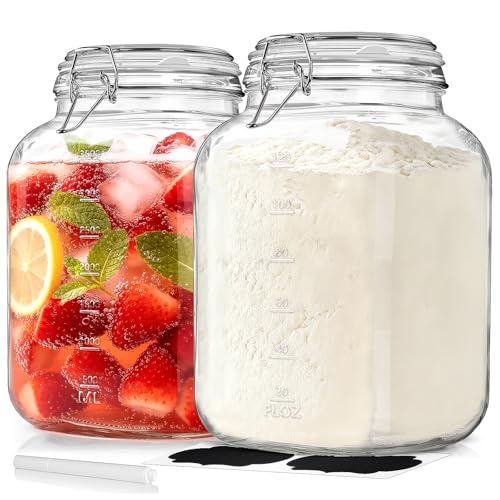 Sovietiep 1 Gallon Square Jars (2 Pack)