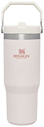 Stanley IceFlow Flip Straw Tumbler with Handle | Twist On Lid and Flip Up Straw | Leak Resistant Water Bottle | Insulated Stainless Steel | BPA-Free