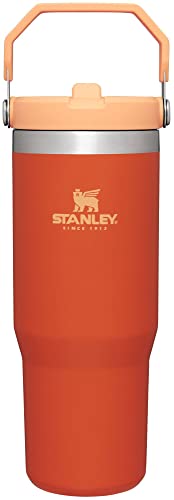 STANLEY IceFlow 30 oz Tumbler