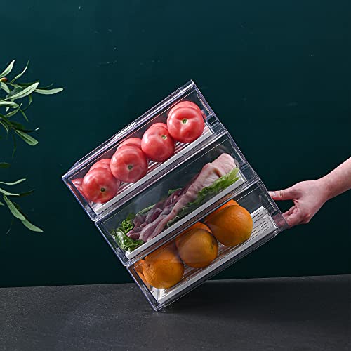 Diskary Fridge Organizer