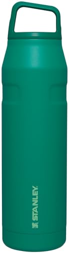 Stanley IceFlow Cap and Carry - 16 oz (alt color)