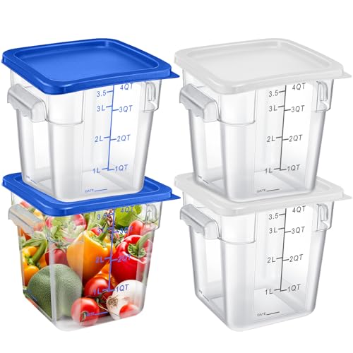 Maxcheck 4Qt Commercial Containers (White, Blue)
