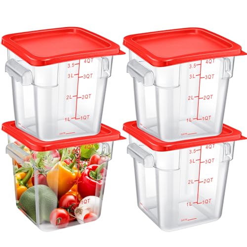 Maxcheck 4Qt (Red)