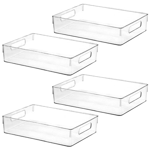 Large Clear Plastic Storage Bins
