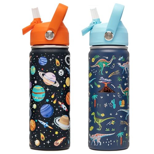 18oz Kids Insulated Water Bottle with Straw Lid - 18/8 Stainless Steel Kid Cup Travel Tumbler Double Wall Vacuum Leak Proof Portable Toddler Water Bottle (Space + Dinosaur)