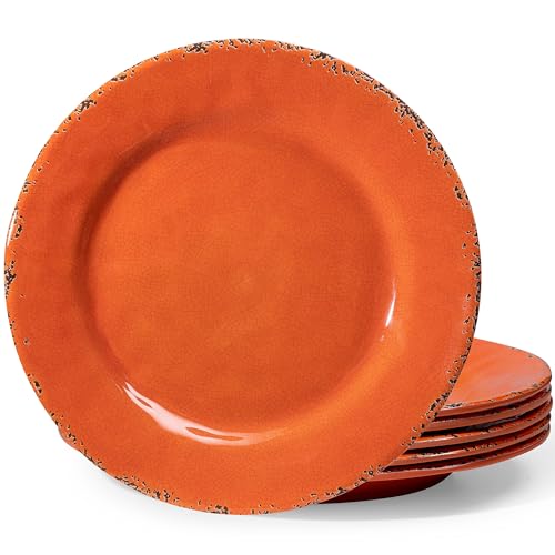 ZAROCRUS 11" Plates (Set of 6)