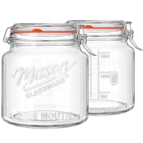 Qianfenie 79oz Hinged Jars