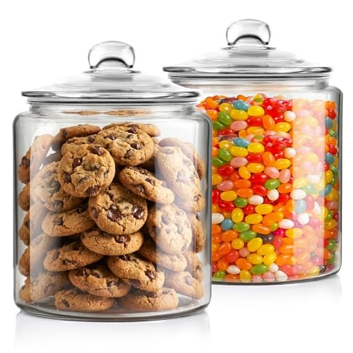 Masthome 1-Gallon Glass Jars (2 Pack)