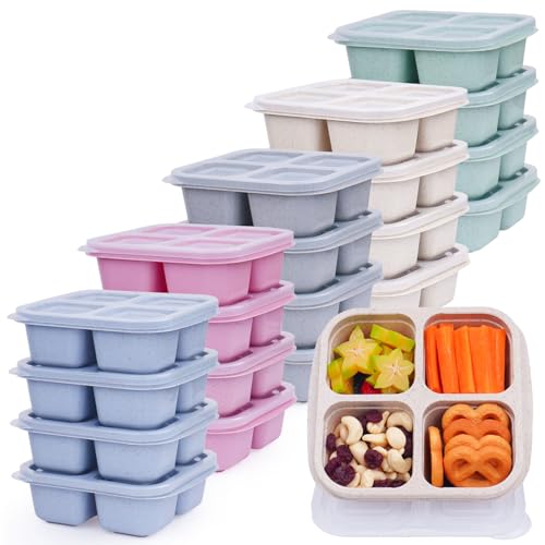 4 Compartments Snack Containers, 20 Pack Reusable Meal Prep Containers, BPA Free Lunch Box Container, Divided Food Storage Containers for Travel, Picnic, Microwave and Dishwasher Safe