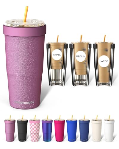 Frost Buddy Togo Buddy | 30 oz Stainless Steel Vacuum Insulated Tumbler | To Go Coffee Cup Reusable, Iced Coffee Cups, Travel Mug, Thermal Cup for Hot & Cold Drinks, Dunkin Cup (Aurora)