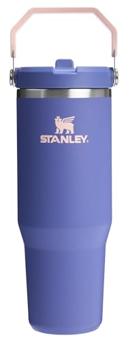 Stanley IceFlow 2.0 Flip Straw 30 oz