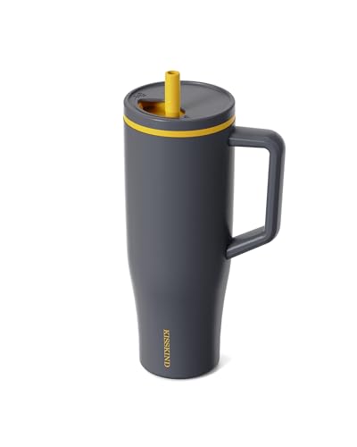 KISSKIND 40 oz Tumbler with Handle and Straw | Lumi Spin Hidden Straw 100% Leakproof Insulated Tumbler | Stainless Steel Water Bottle for Mom, Nurse, Teacher | Gray