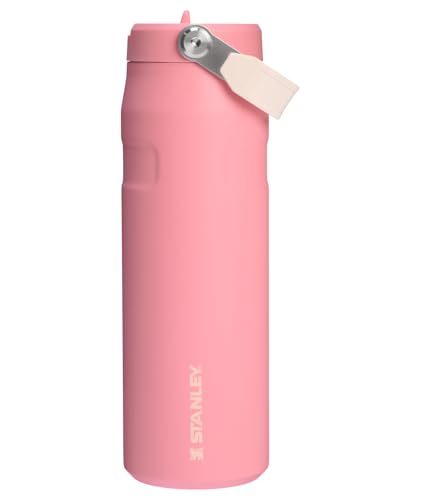 IceFlow Flip Straw 24 oz