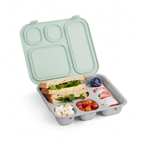 Elk and Friends Bento