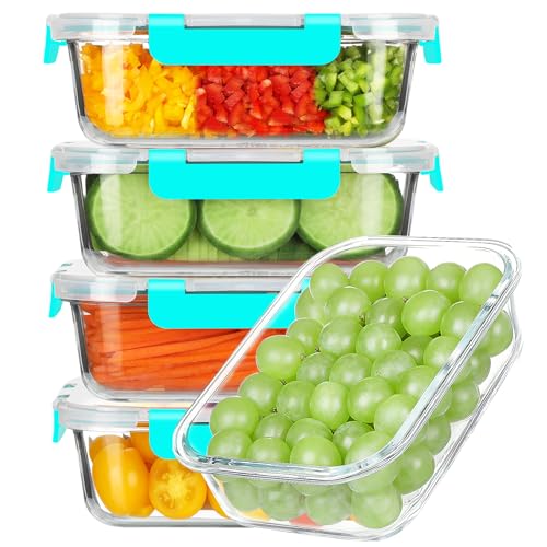 BAYZZ 35 oz Glass Meal Prep