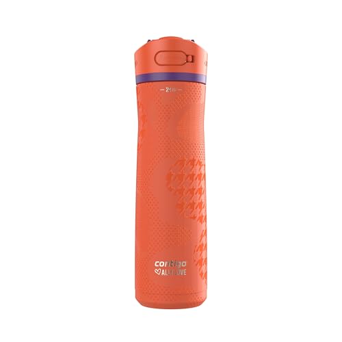 Contigo Ashland Chill 2.0